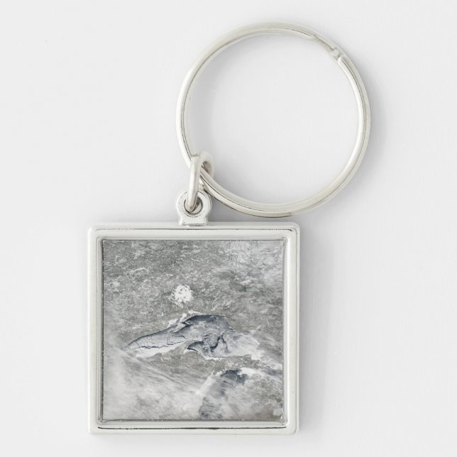 Chaveiro Um cobertor de gelo relativamente raro (Frente)