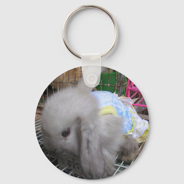 Chaveiro Um coelho bonito em um vestido (Frente)