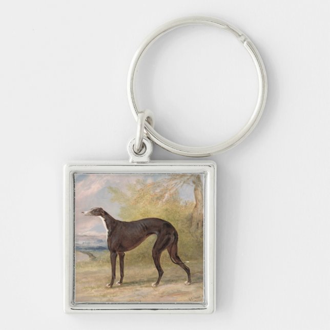Chaveiro Um dos galgos de vencimento do Fox da pista de (Frente)