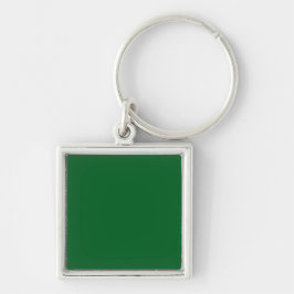 Chaveiro Um fundo verde sólido preenche toda a imagem
