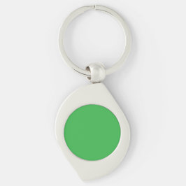 Chaveiro Um fundo verde vibrante preenche a imagem