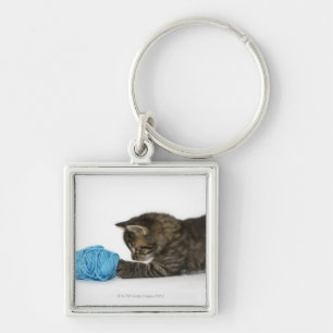 Chaveiro Um gatinho novo do gato malhado que joga com lãs