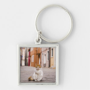 Chaveiro Um gato nas ruas de Burano, Italia.  2006.