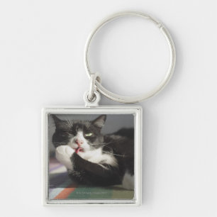 Chaveiro Um gato que lambe o é pata