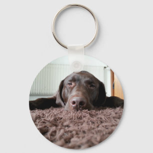 Chaveiro um lindo cachorrinho de chocolate dormindo em uma