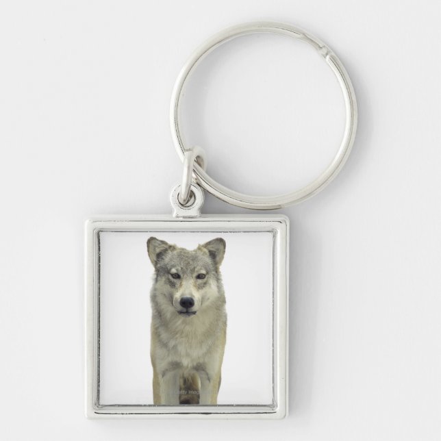 Chaveiro Um lobo (Frente)