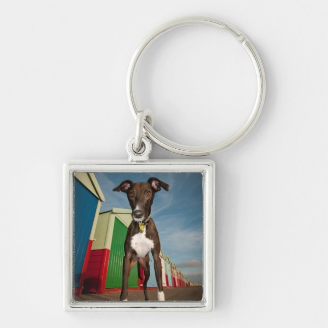 Chaveiro Um Lurcher que está na frente de algumas cabanas (Frente)