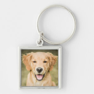 Chaveiro Um retrato de um filhote de cachorro do golden