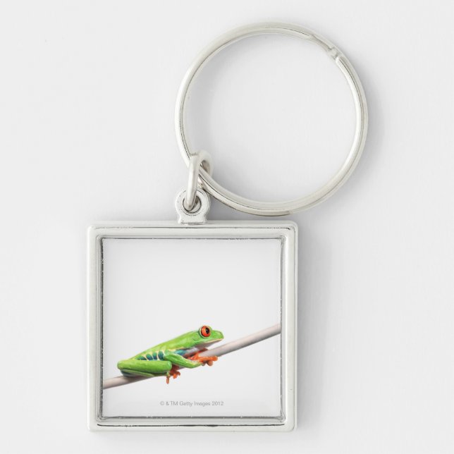 Chaveiro Um sapo que pendura sobre (Frente)