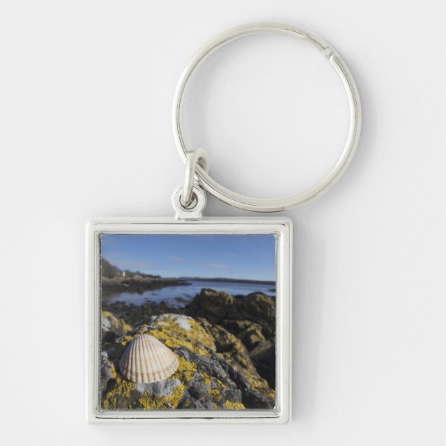 Chaveiro Um Seashell senta-se em uma rocha | Dumfries, (Frente)