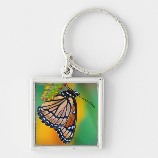 Chaveiro Uma Borboleta Viceroy em Flores (Frente)