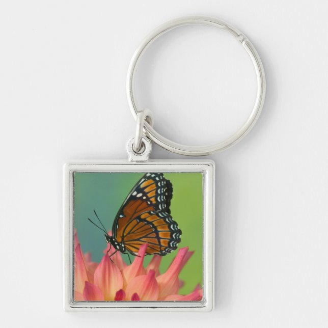 Chaveiro Uma Borboleta Viceroy em uma Zínia (Frente)