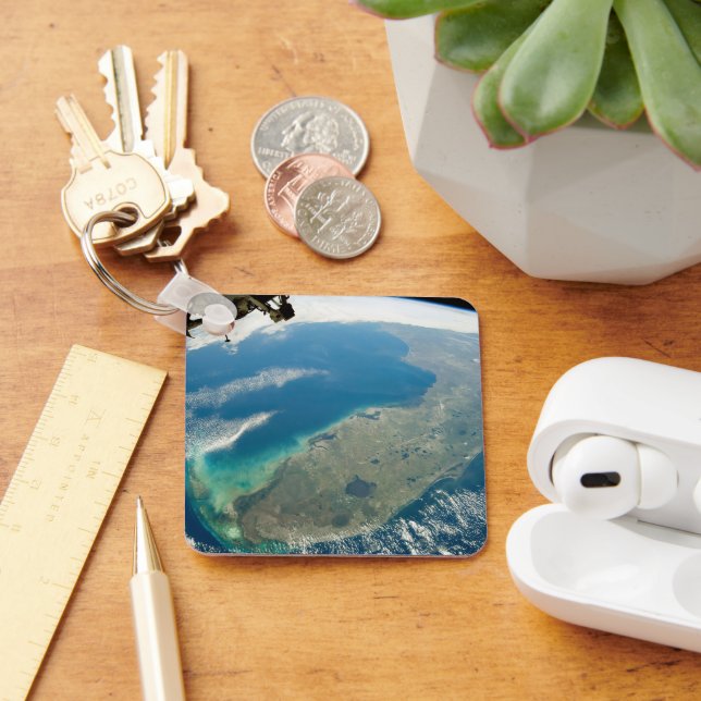 Chaveiro Uma Flórida Oblíqua, Na Costa Sudeste (Mesa)