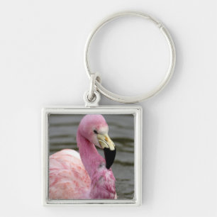 Chaveiro Uma foto cativa de um Flamingo Andino