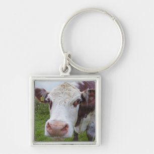 Chaveiro Única vaca que peerring na câmera