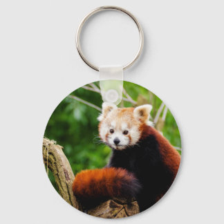 Chaveiro Urso de Panda Vermelho Bonito
