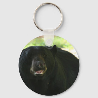 Chaveiro urso negro