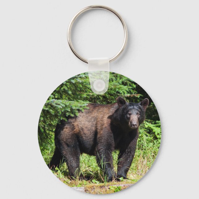 Chaveiro Urso Negro Alfa (Frente)