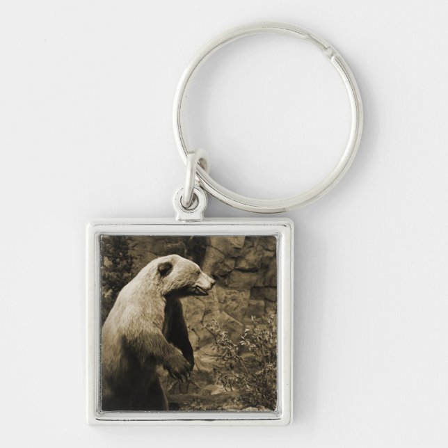 Chaveiro Urso Orgulhoso (Frente)