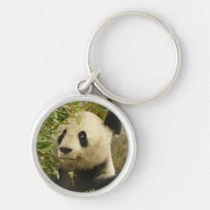 Chaveiro urso panda ursos personalizar Aniversários