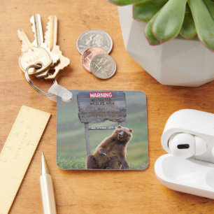 Chaveiro Urso Pardo Brinca Com Placa