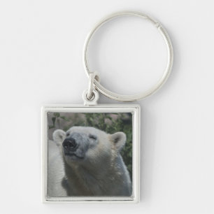 Chaveiro Urso Polar