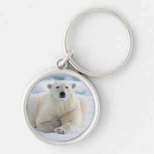 Chaveiro Urso polar adulto no gelo do verão
