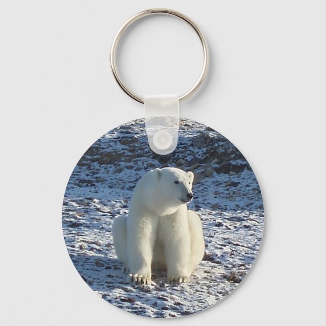 Chaveiro Urso Polar Ártico (Frente)