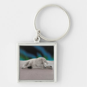 Chaveiro Urso Polar Descansando
