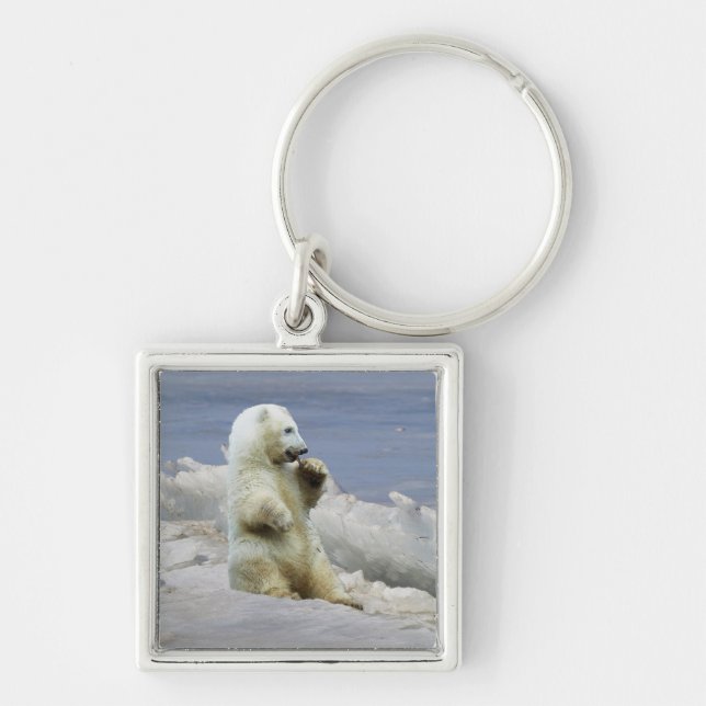 Chaveiro Urso Polar Fofo e Gelo Ártico (Frente)