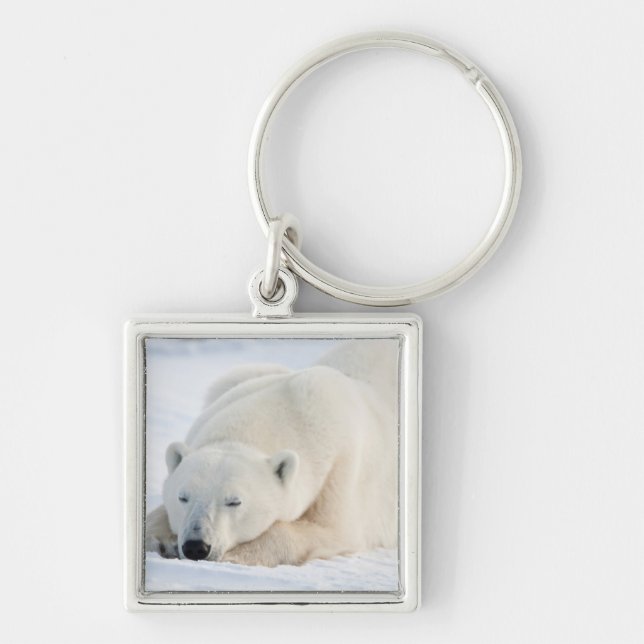 Chaveiro Urso Polar no inverno (Frente)