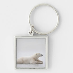 Chaveiro Urso polar que coloca em um lago do gelo