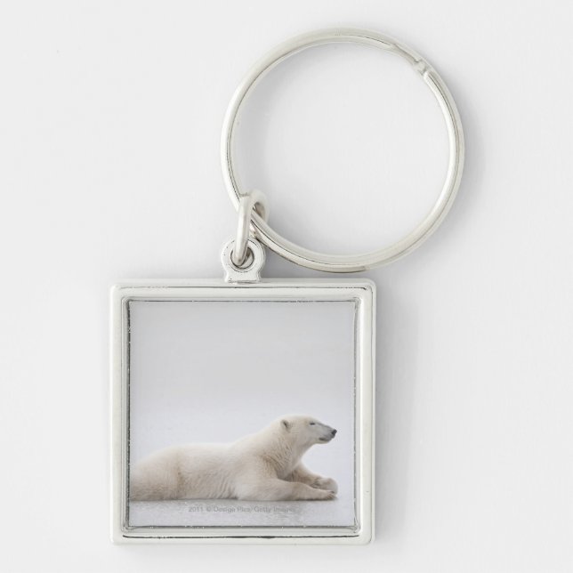 Chaveiro Urso polar que coloca em um lago do gelo (Frente)