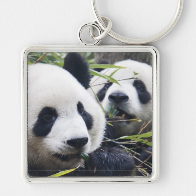 Chaveiro Ursos de panda (Frente)