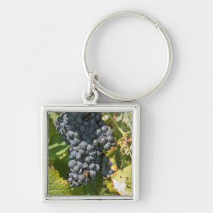 Chaveiro Uruguai, Montevidéu, Área Colon. Bodegas