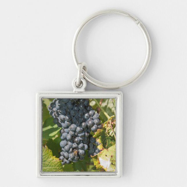 Chaveiro Uruguai, Montevidéu, Área Colon. Bodegas (Frente)