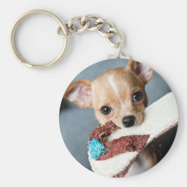 Chaveiro Vá buscar Chihuahua