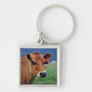 Chaveiro vaca 2