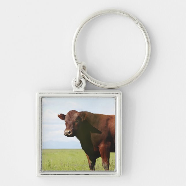 Chaveiro Vaca de carne no campo (Frente)