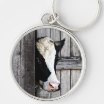 Vaca de fazenda