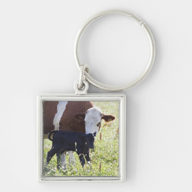 Chaveiro Vaca e vitela (Frente)