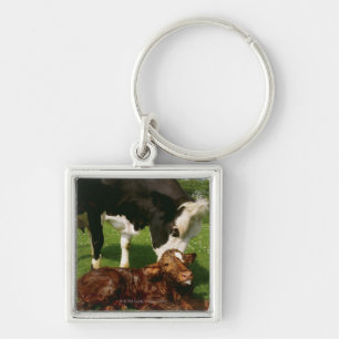 Chaveiro Vaca e vitela recém-nascida