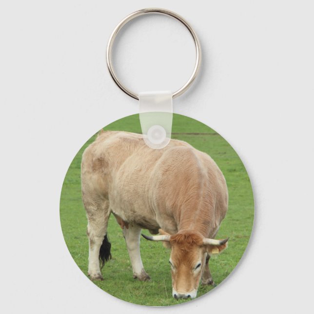 Chaveiro Vaca Nantaise num campo (Frente)