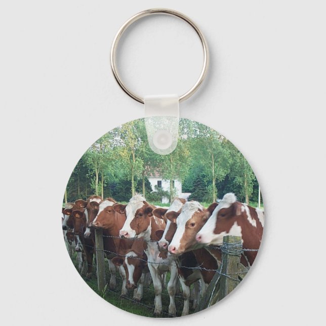 Chaveiro Vacas Curiosas (Frente)