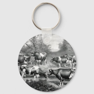 Chaveiro vacas da raça Holstein