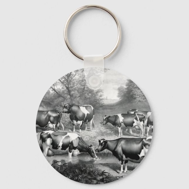 Chaveiro vacas da raça Holstein, vacas da raça fresian (Frente)