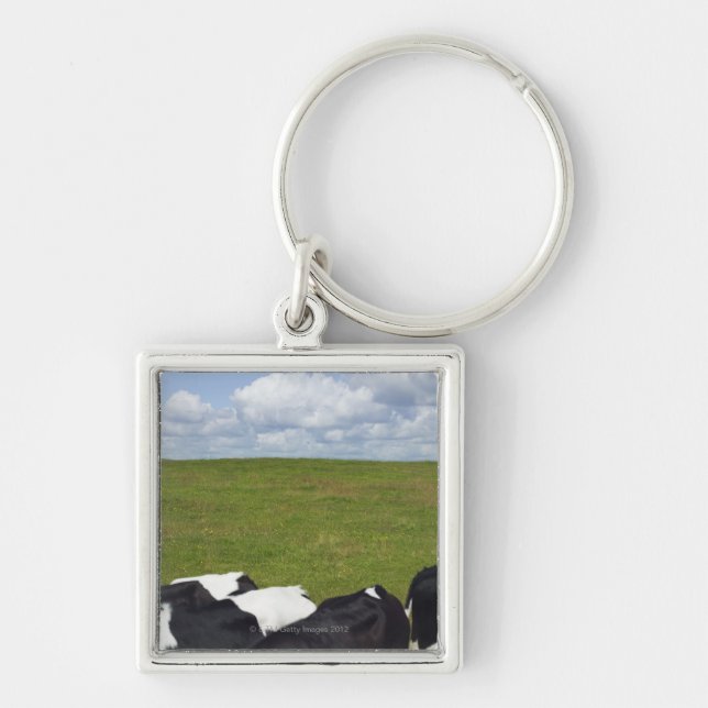 Chaveiro Vacas em um pasto (Frente)