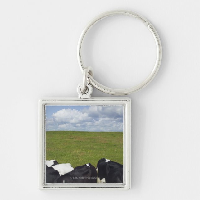 Chaveiro Vacas em um pasto (Frente)