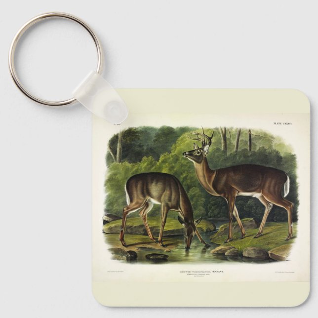 Chaveiro Veado comum (branco) - Quadrupedes de Audubon (Frente)