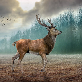 Chaveiro Veado Solitário Na Floresta Mistura